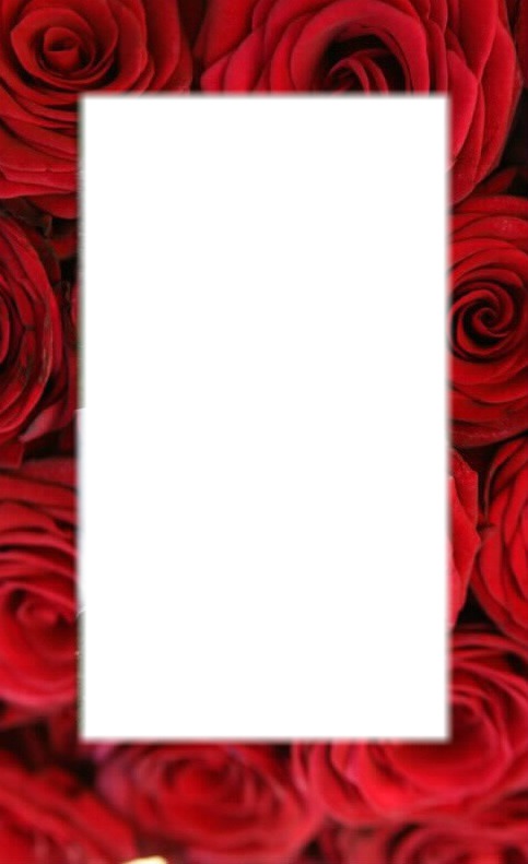 cadre roses Montage photo