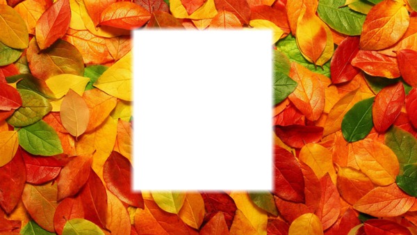 thanksgiving Photomontage