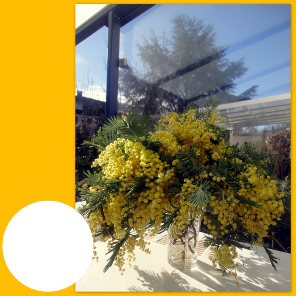 MIMOSA Photo frame effect