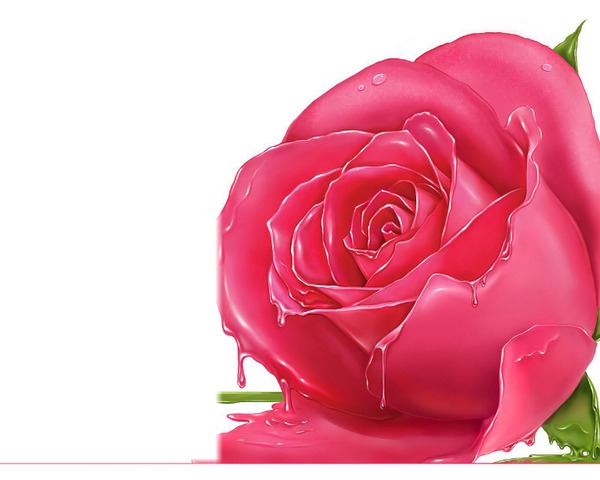 rose rose Fotomontažas