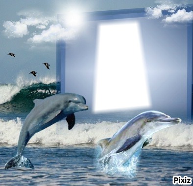 dauphins Fotomontagem
