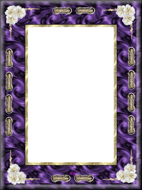 cadre violet or Photomontage