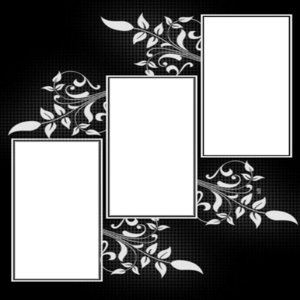 collage, 3 fotos, fondo negro y flores2. Photo frame effect