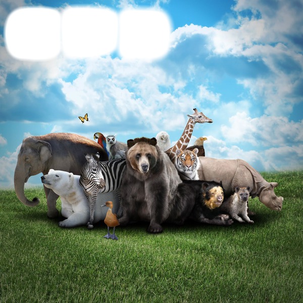 Let's all take care of the animals ! Photomontage