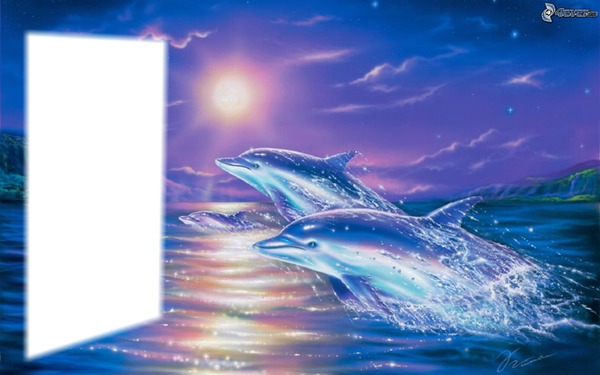 dolphin Photo frame effect