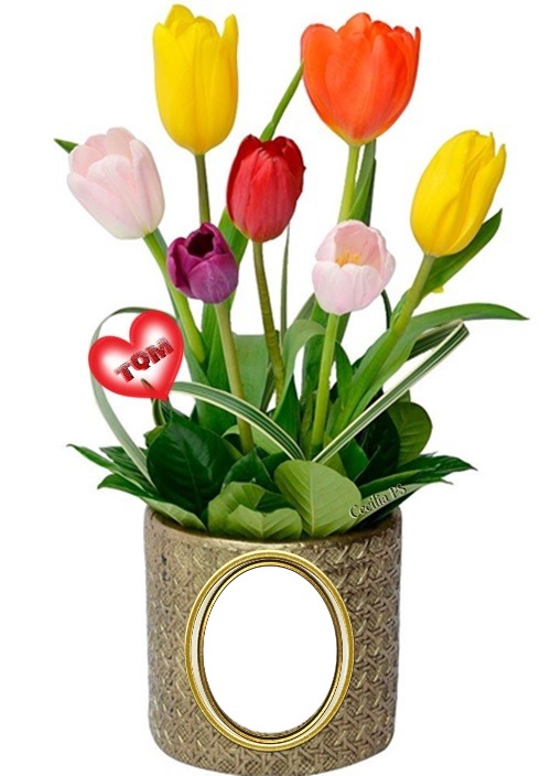 Cc Florero de tulipanes Montaje fotografico