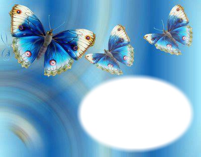 Papillons bleus Montage photo