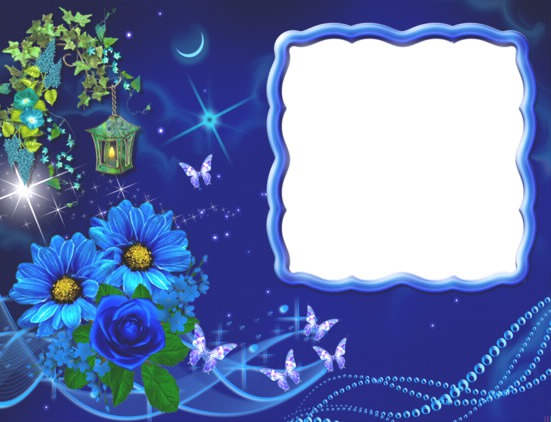 Cadre bleu-fleurs-papillons-nuit フォトモンタージュ