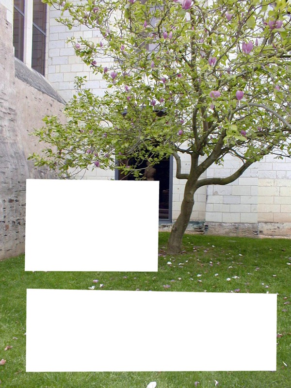 Spring-Printemps sous l'arbre en fleurs Photomontage