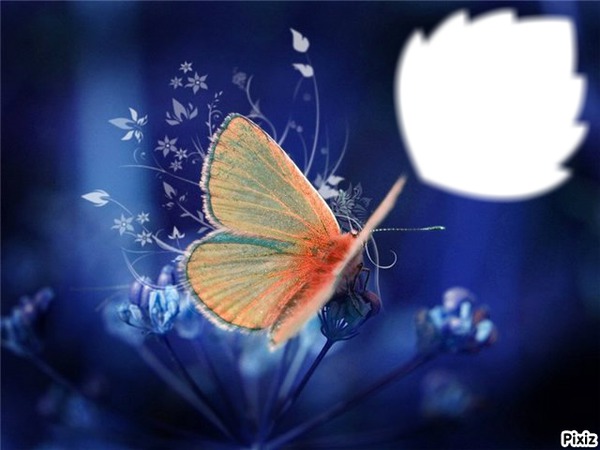 *Envole de papillon* Photomontage