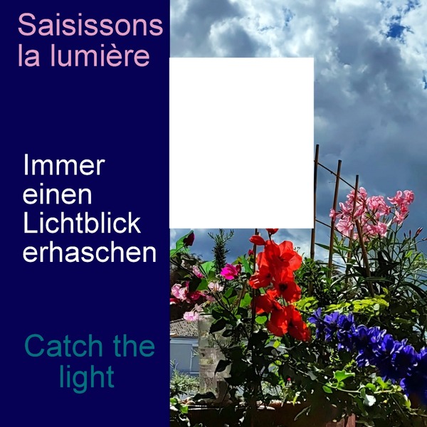 Catch the light Fotomontage
