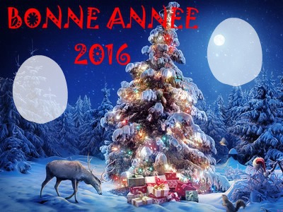 Année 2016 Fotoğraf editörü