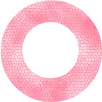marco rosa Montaje fotografico