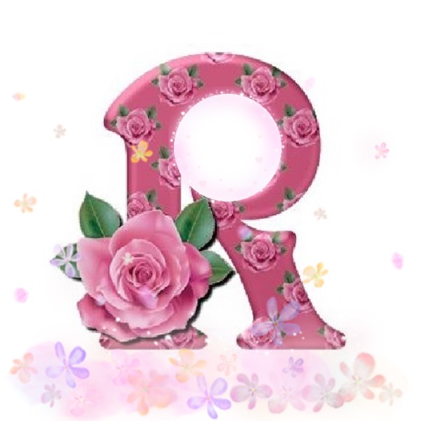 letra R, de rosas y una rosa, rosada, una foto. Montaje fotografico