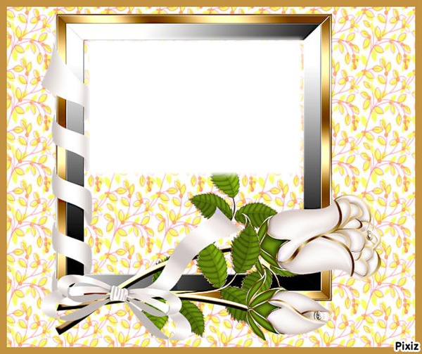 rose blanche Photo frame effect