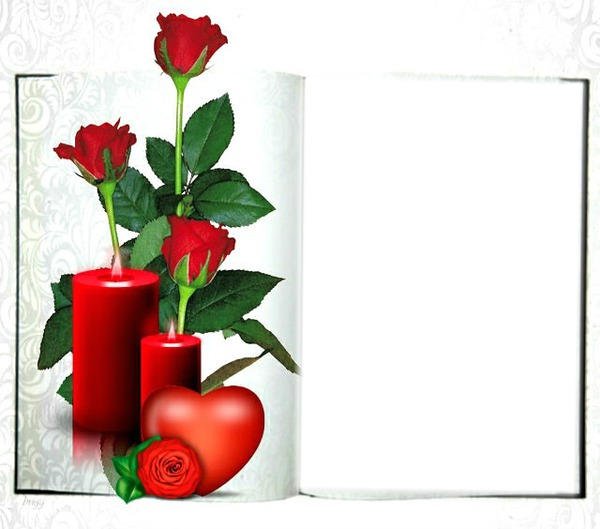cadre de roses rouge Montaje fotografico