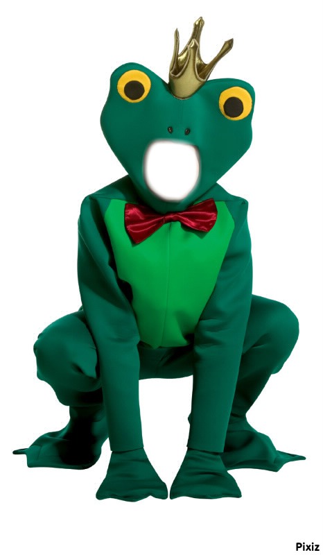Costume grenouille フォトモンタージュ