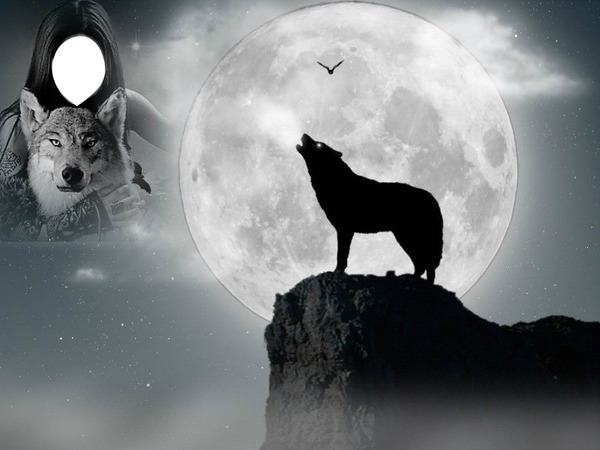 loup a la lune Montage photo