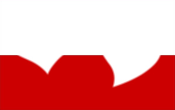 polska flaga Fotomontaż