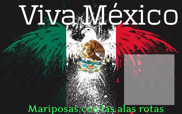 Viva mexico Photo frame effect