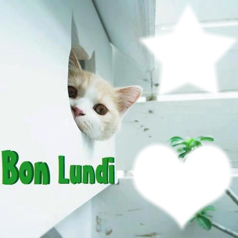 BON LUNDI Fotoğraf editörü