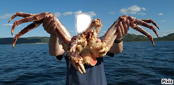 gros crabe Fotomontage