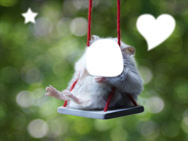 hamster,echo de alexia Fotomontaggio