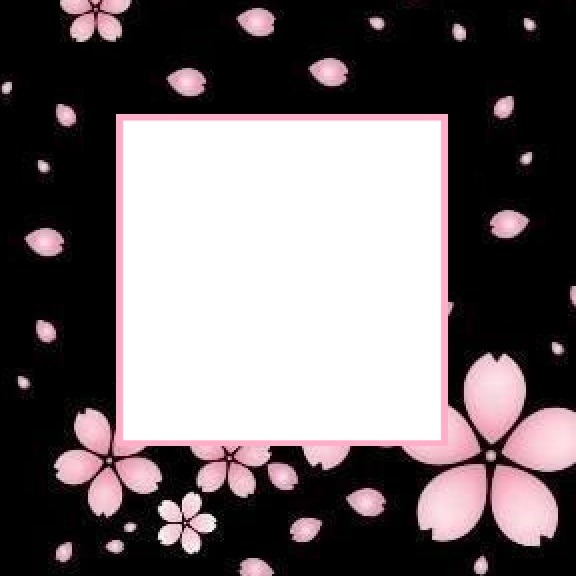marco y flores rosadas, fondo negro. Fotomontagem