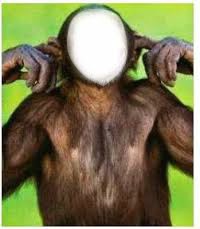 Rosto De Macaco Fotomontagem