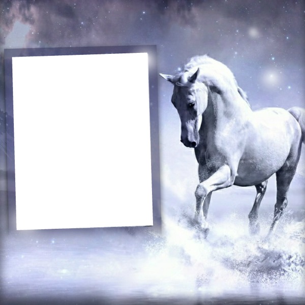 cadre cheval Fotomontagem