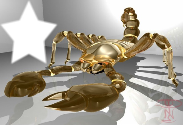 scorpion Valokuvamontaasi