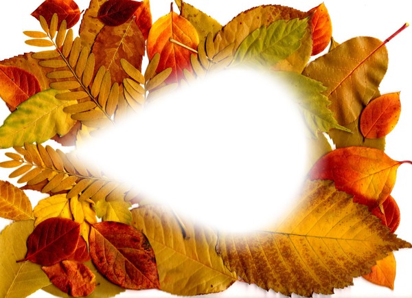 autumn leaf 2 Fotomontage