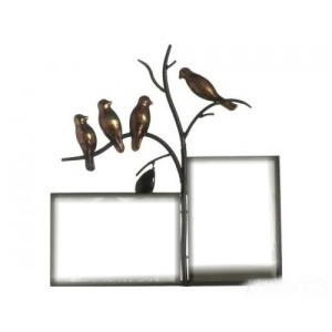 cadre double oiseaux Photomontage