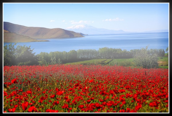 günebakan Photomontage