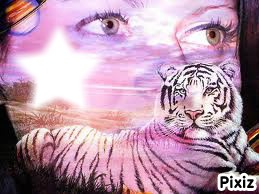 tigre blanc Fotomontage