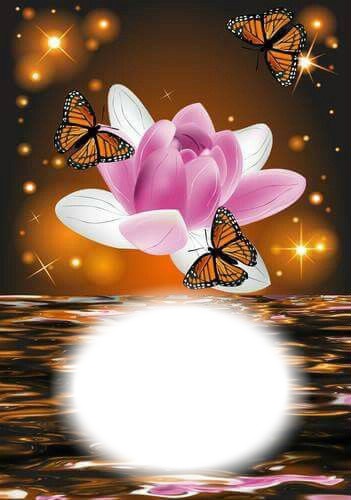 Fleur-papillons-nature Photo frame effect