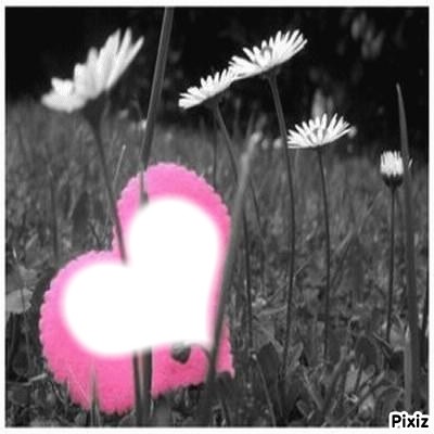 ♥ rose sur herbe Photo frame effect