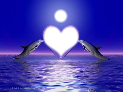 le coeur en dauphin Fotomontaža
