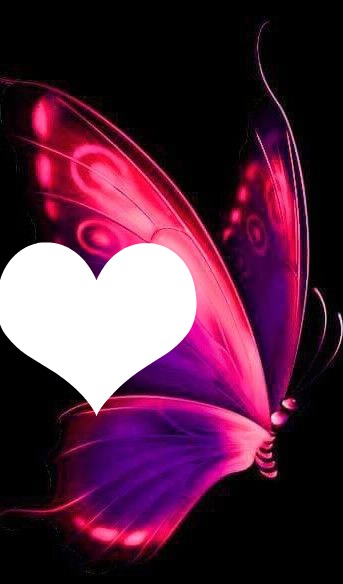 pink butterfly Photo frame effect