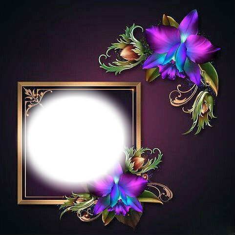 purple flowers Photo frame effect
