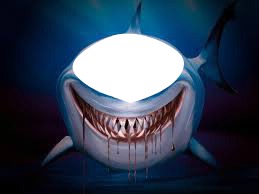 cara tiburon Photomontage