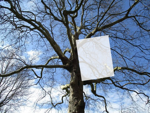 arbre Фотомонтажа