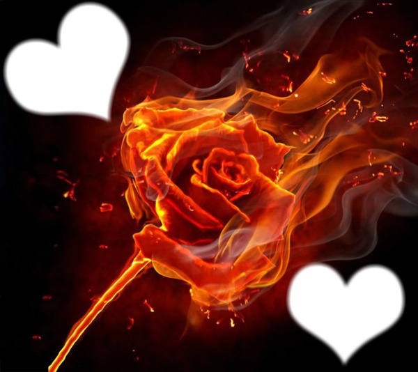 une rose avec sa flammes Fotomontaggio