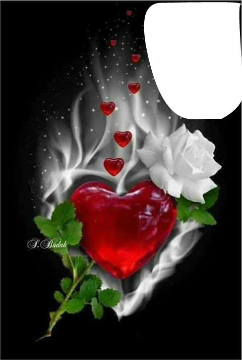 corazon con rosa Fotomontaggio
