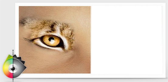 oeil de tigre Fotomontaż