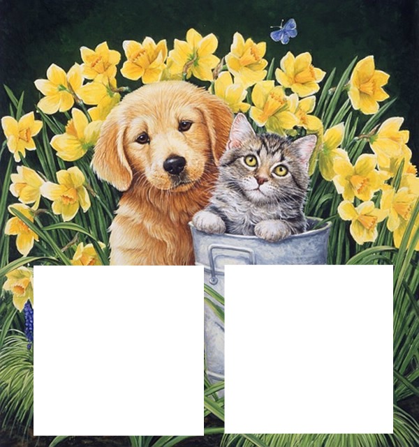 CHAT CHIEN laly Photo frame effect