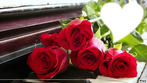 *roses rouge* Фотомонтаж