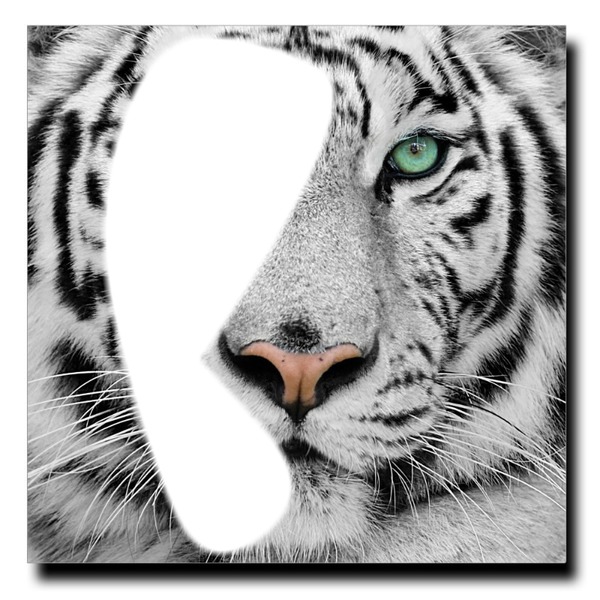 Moitié Tigre Fotomontage