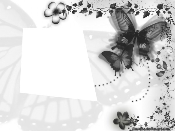 papillon noir et blanc Fotomontage