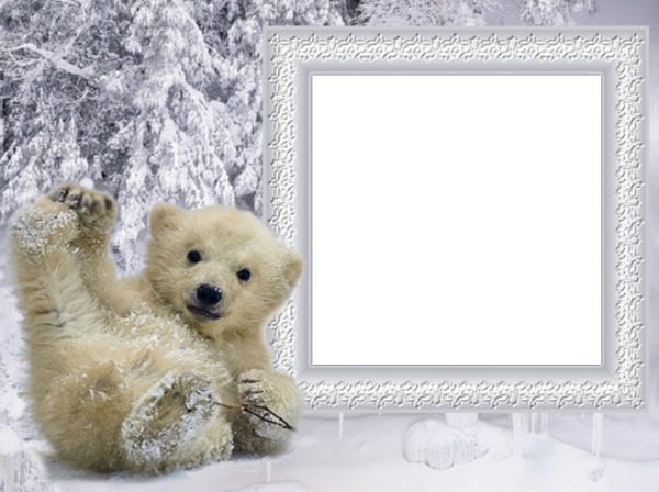 Zima,Winter, Teddy bear Фотомонтаж